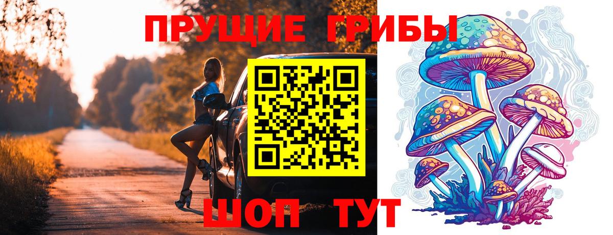 Шадринск  Псилоцибиновые грибы мухоморы  Вход с VPN 