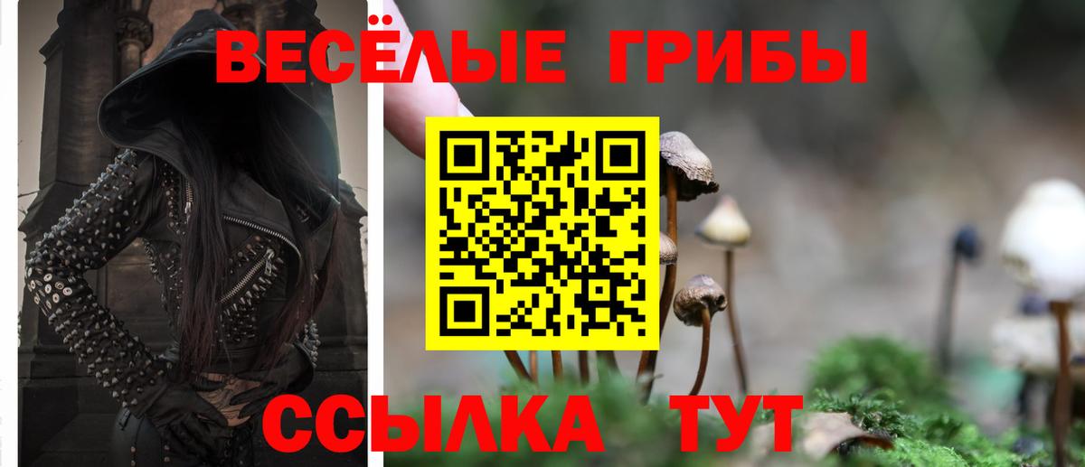 Галлюциногенные грибы мухоморы Шадринск